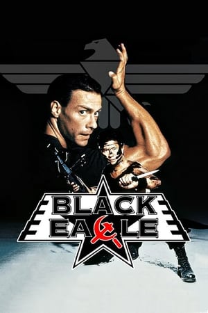 Black Eagle 1988 100mb Hindi Dual Audio movie Download HD Poster Download - Filmyzilla
