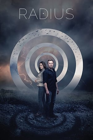 Radius (2017) Hindi Dual Audio 300MB HD Poster Download - Filmyzilla