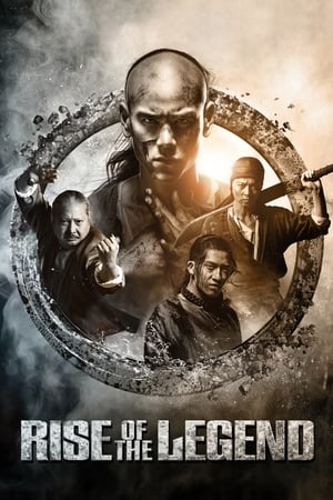 Rise of the Legend 2014 Hindi Dual Audio 440MB HD Poster Download - Filmyzilla