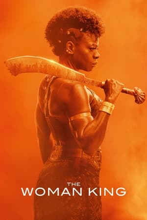 The Woman King 2022 Hindi (Cleaned) Dual Audio – 480p